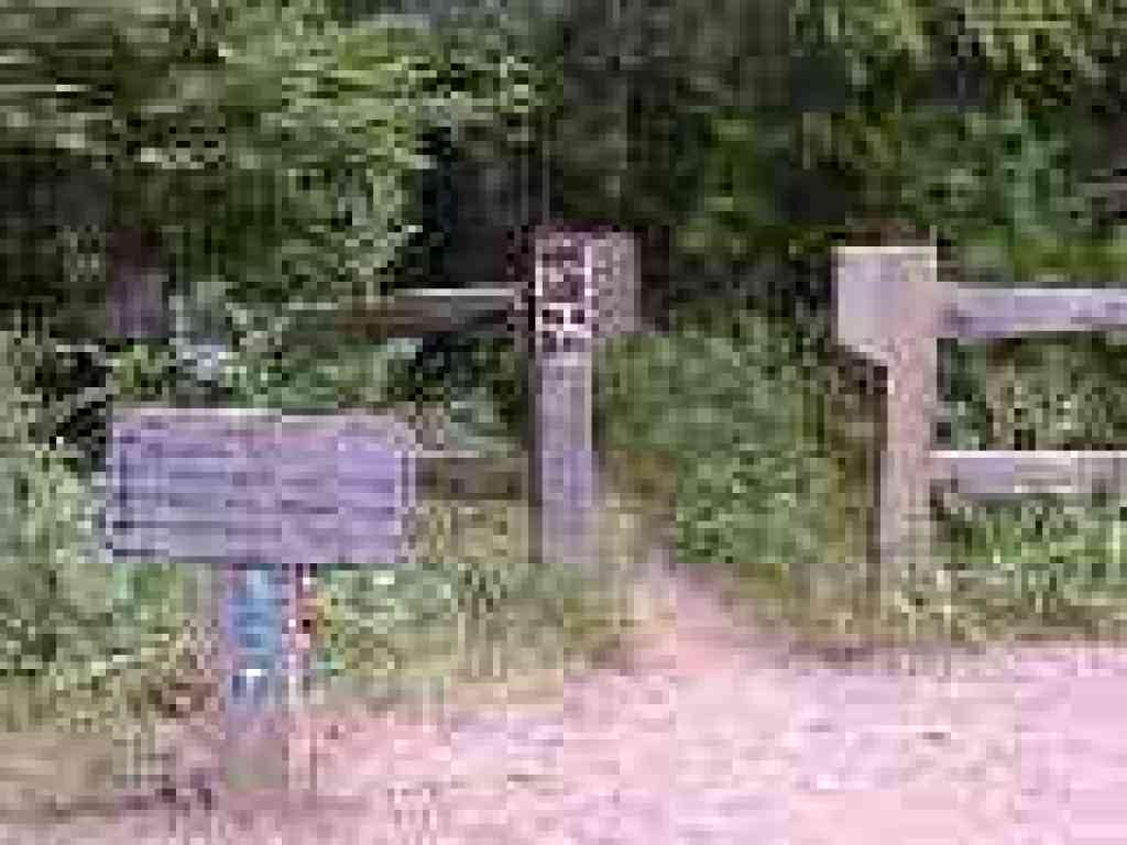 Start of Soda Gulch Trail