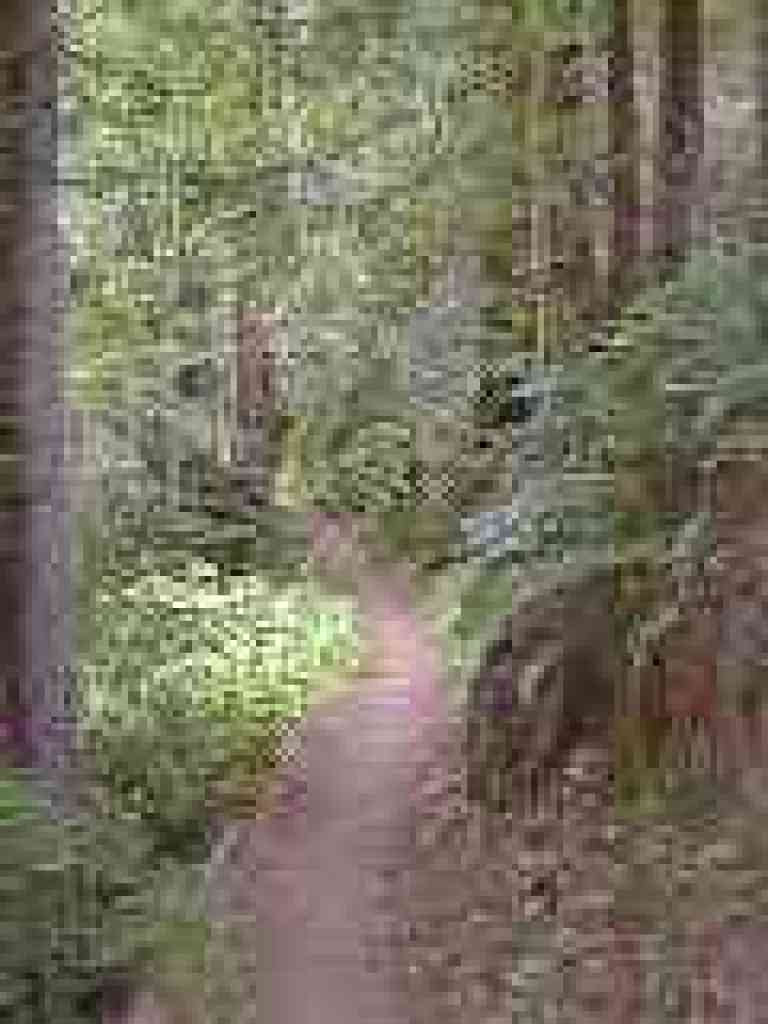 Soda Gulch Trail