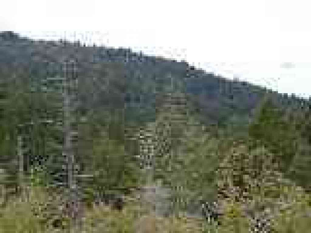 View south