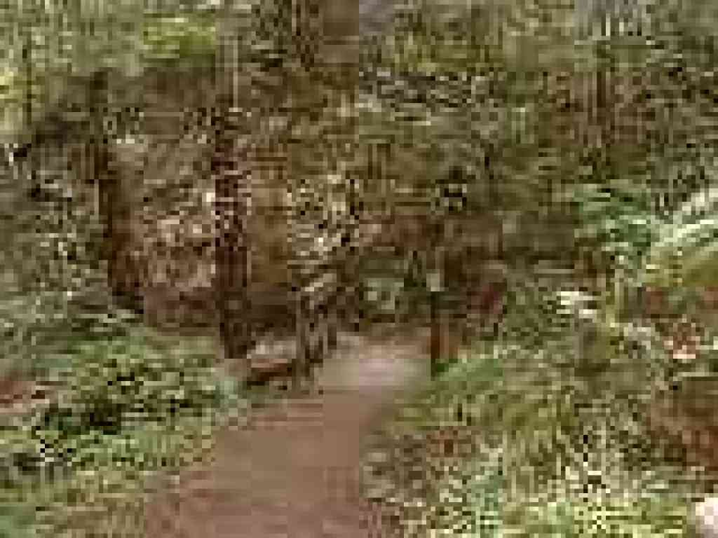 Bridge