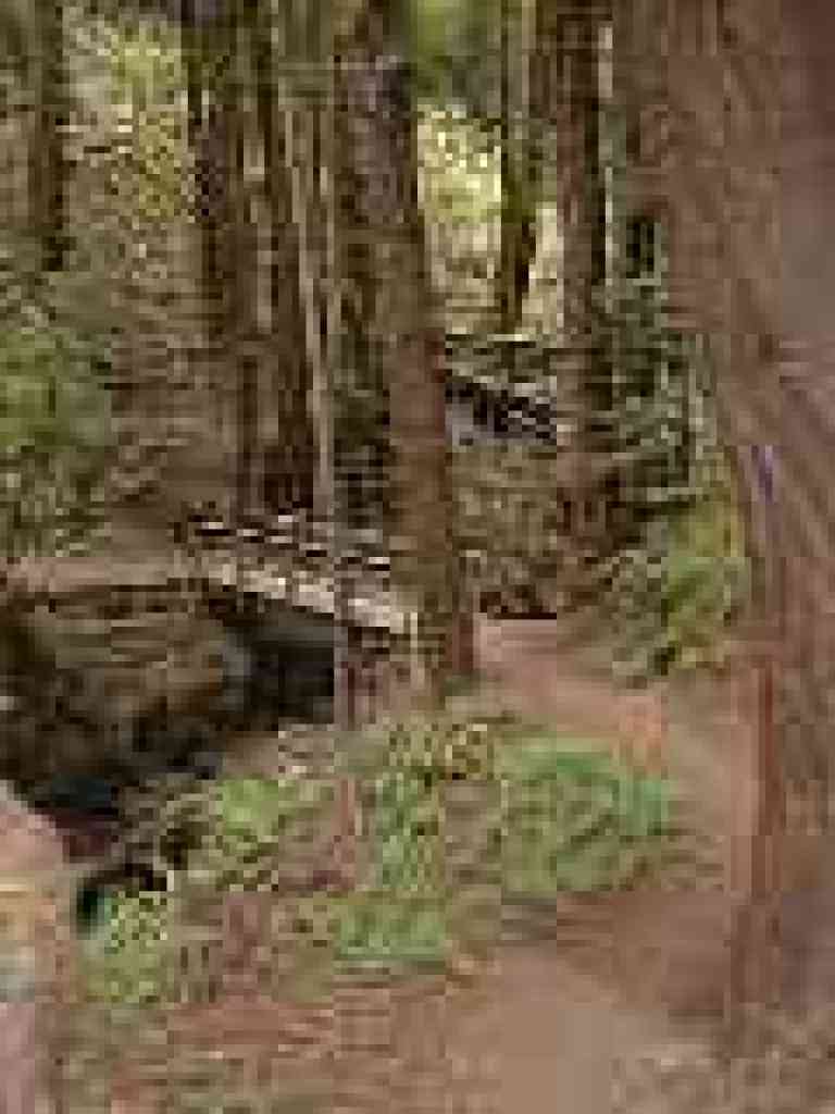 Another bridge