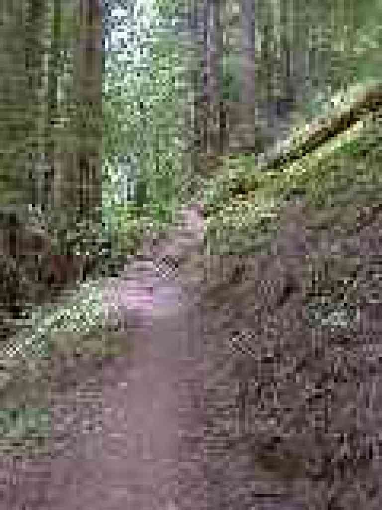 Slide area