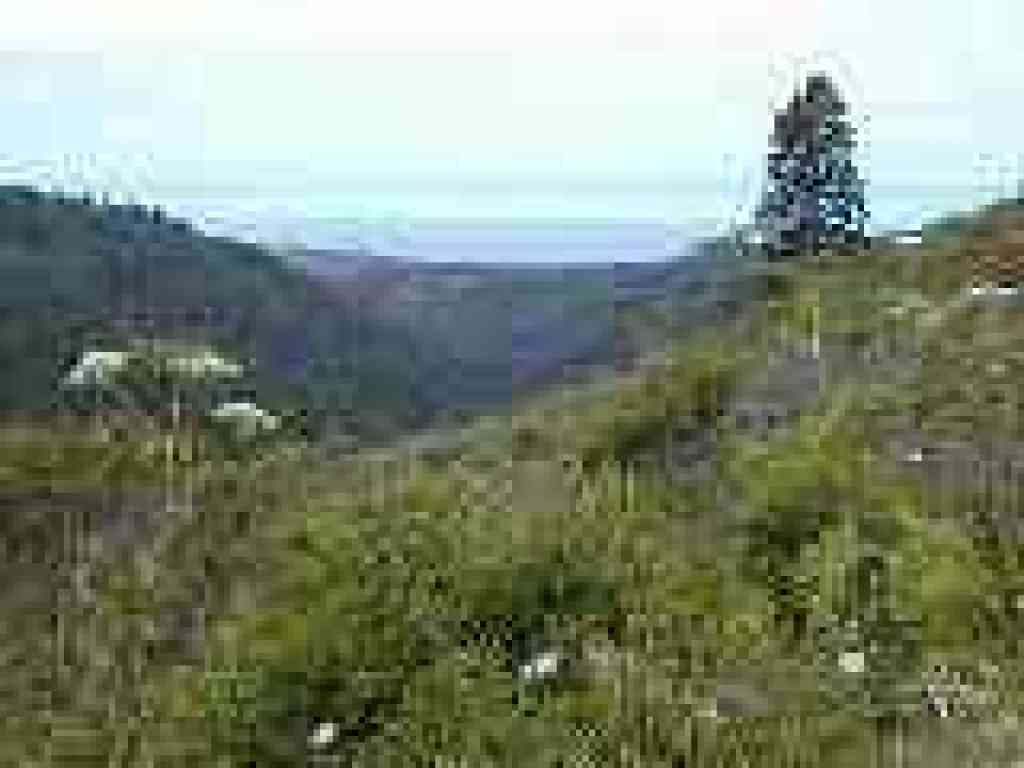 View west