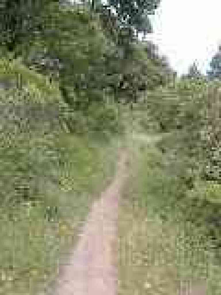 Switchbacking uphill