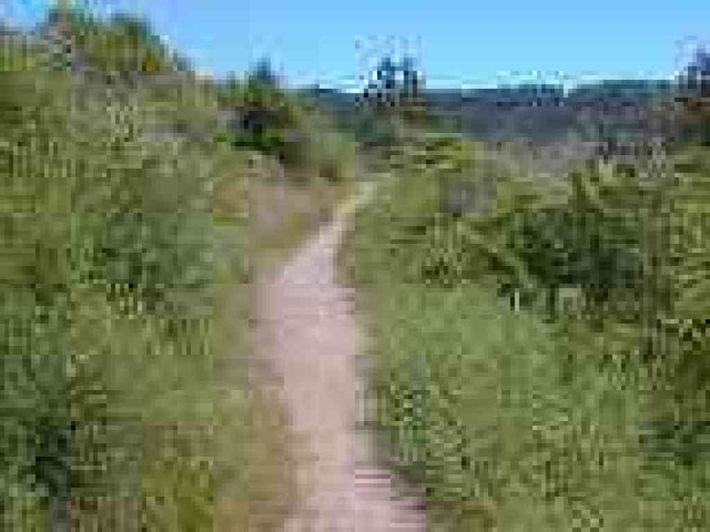 Continuing the climb
