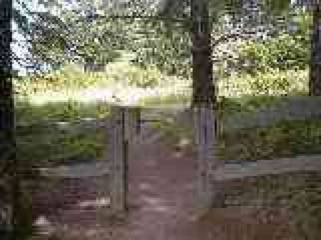 Junction