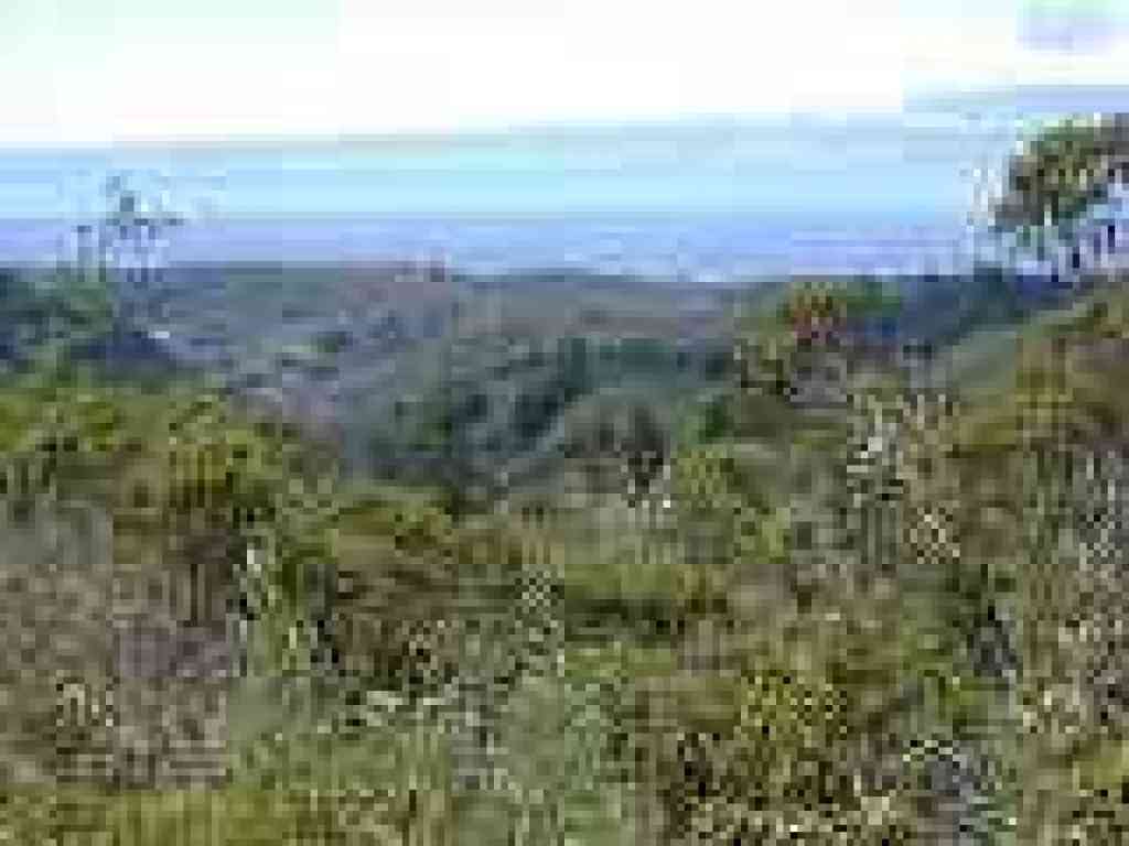 View west