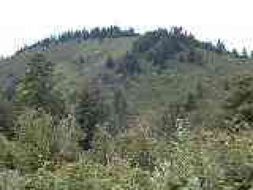 North