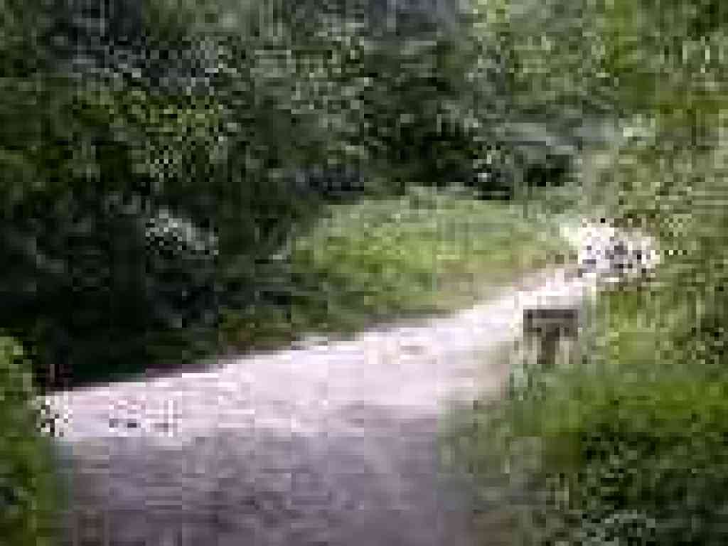 Junction