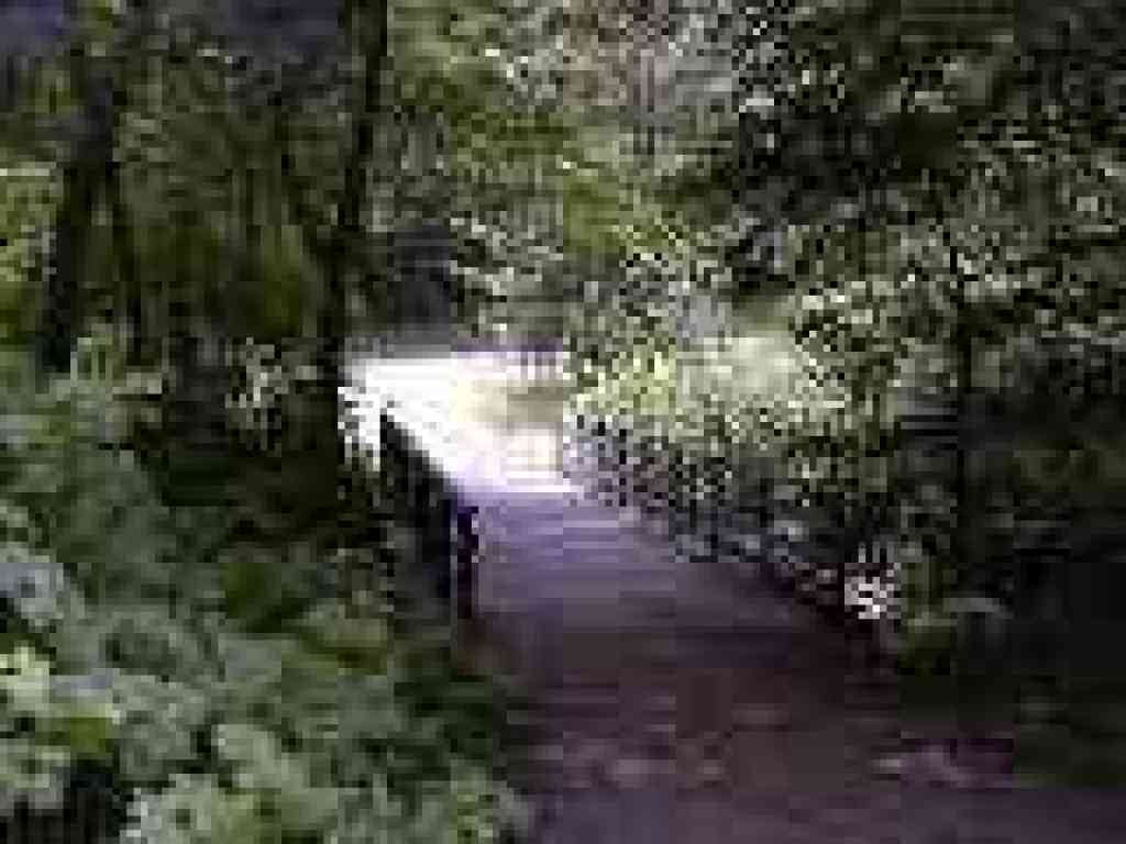 Last bridge