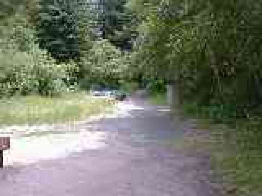 Cars parked in the preserve for a docent hike day