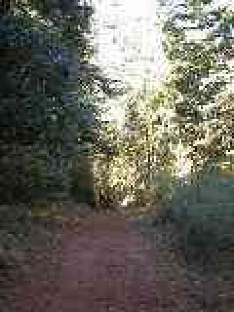 Grabtown Gulch Trail