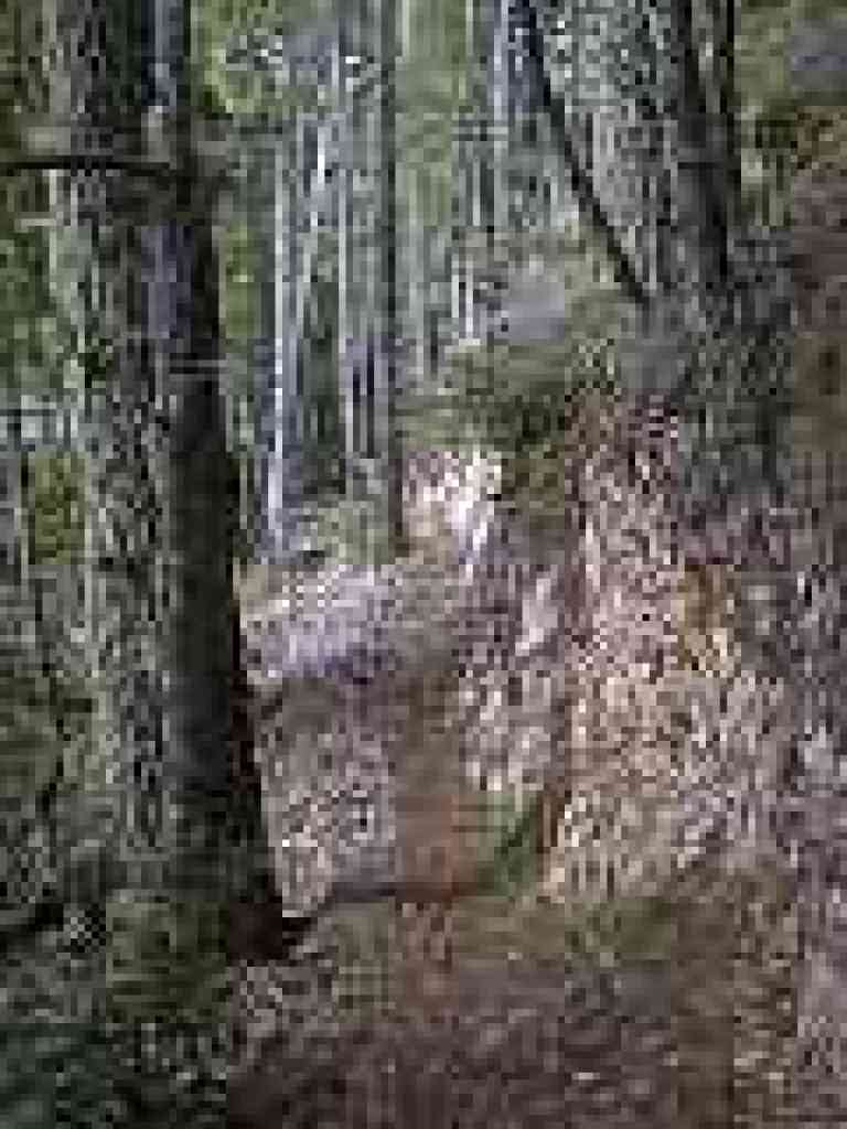 Rocky spot