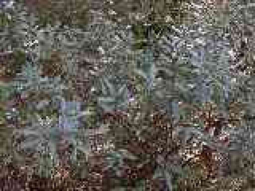 California coffeeberry