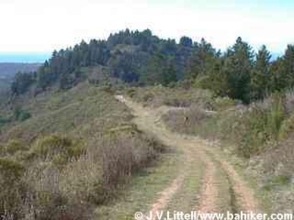 Photo of North Ridge Trail