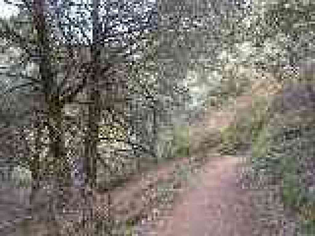 Switchback