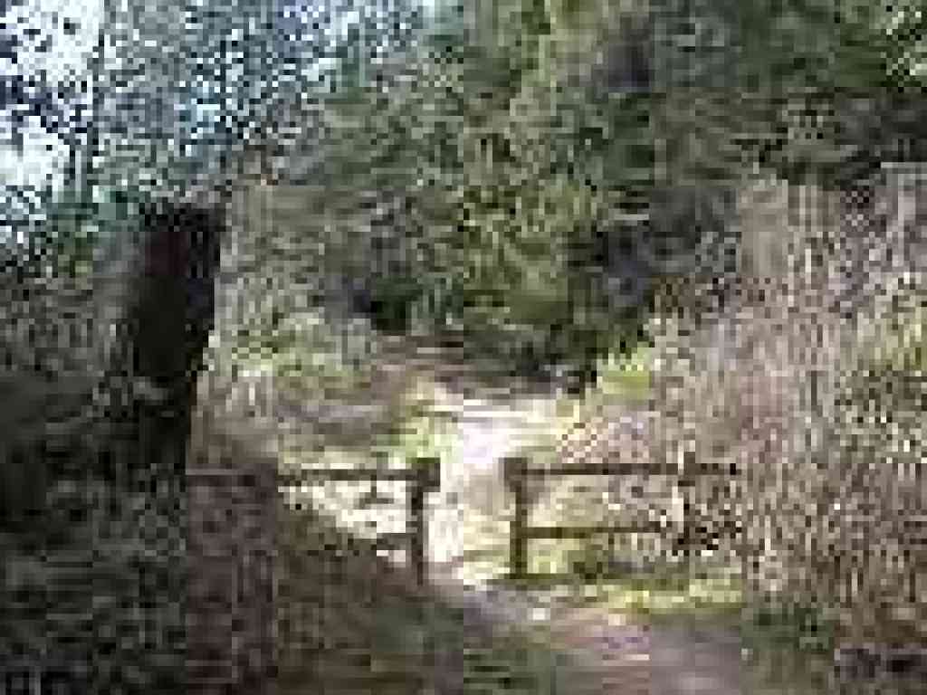 Junction