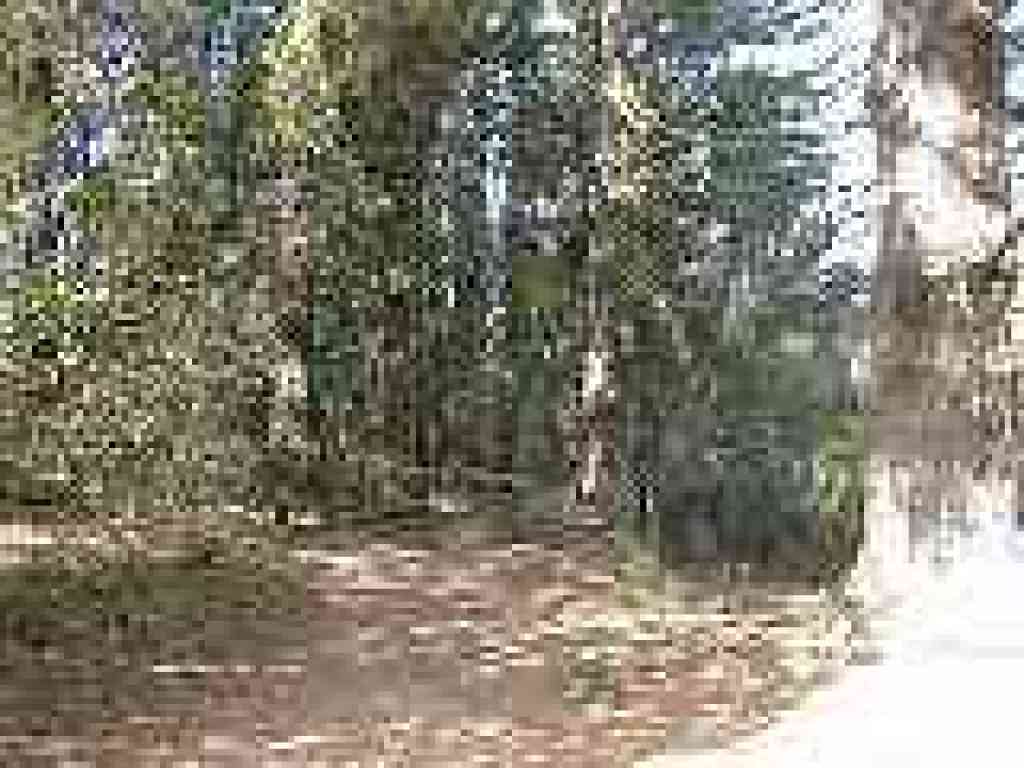 Approaching junction