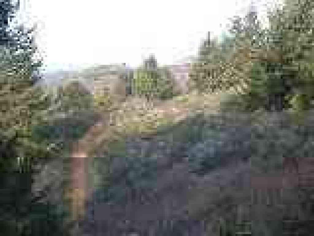 Switchback
