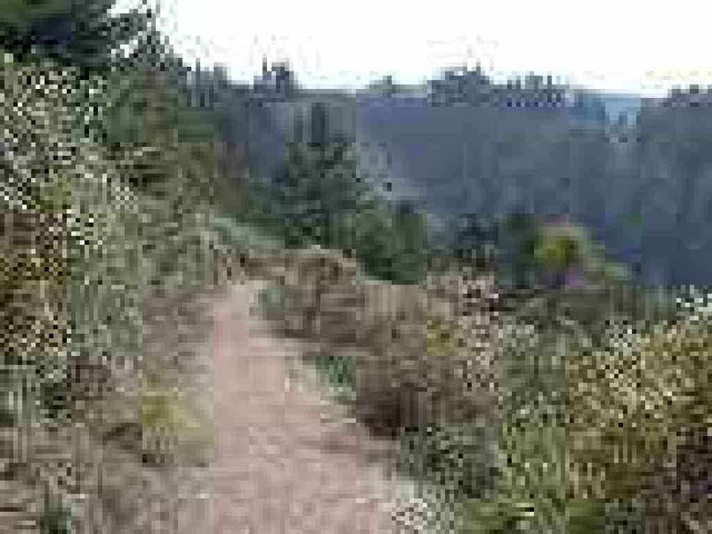 Whittemore Gulch Trail