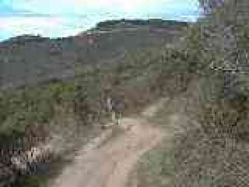 Junction