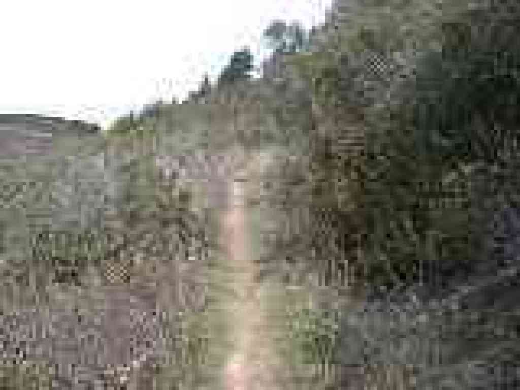 Connecting path