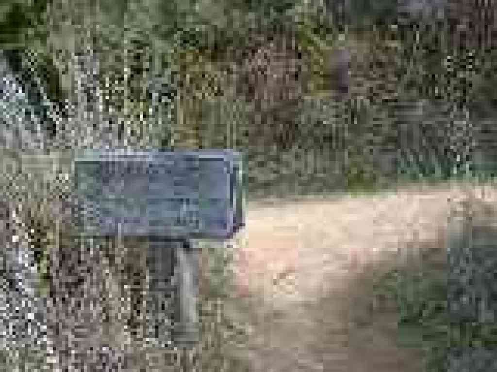 Junction