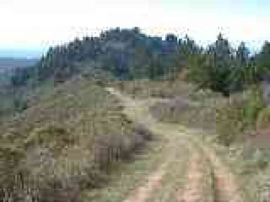 North Ridge Trail