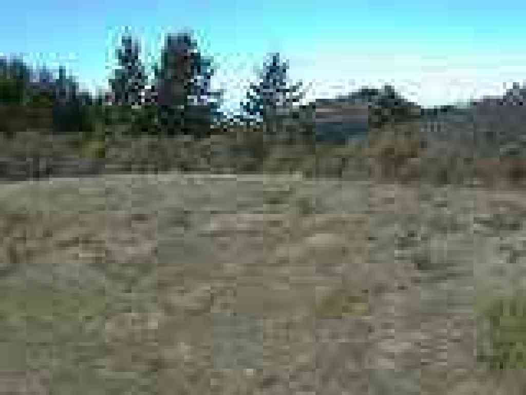 Grassy knoll