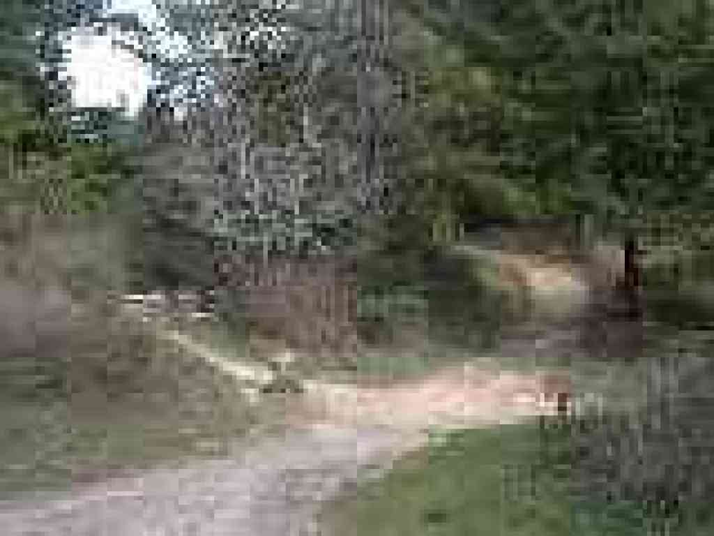 Returning to the North Ridge Trail junction