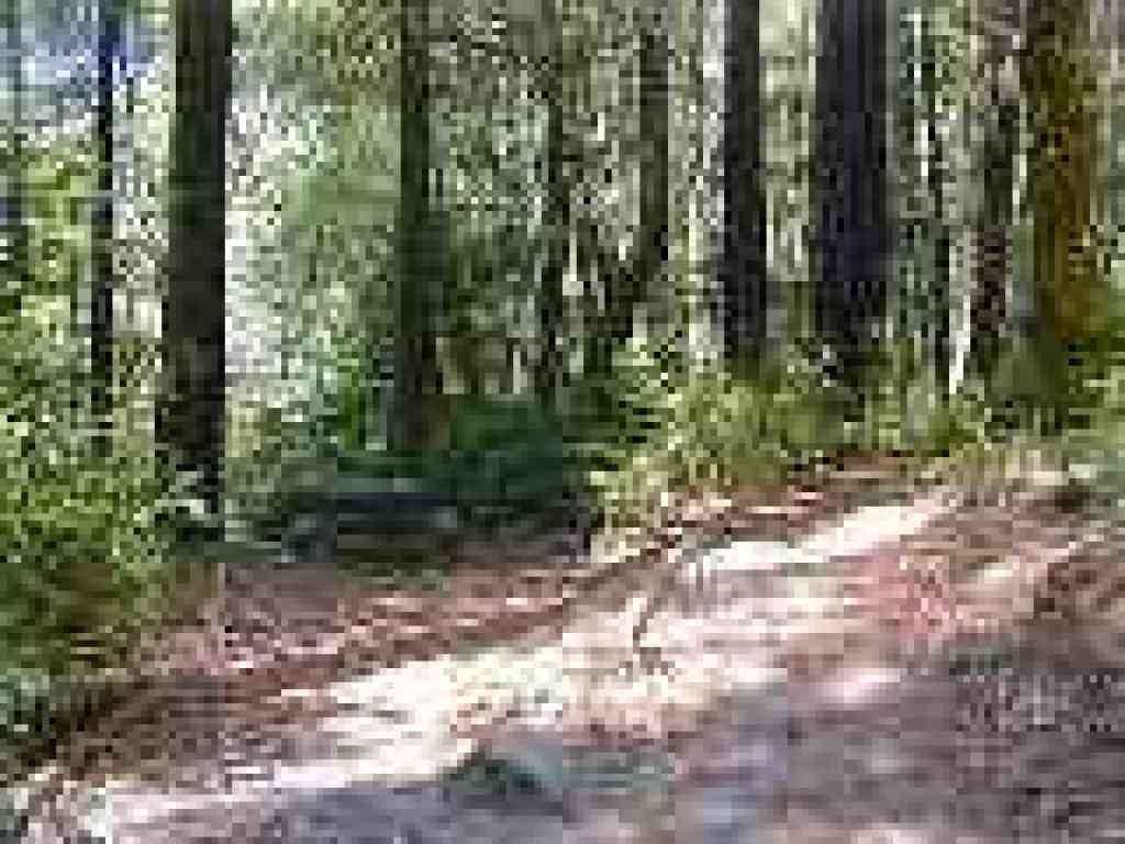 Last picnic area