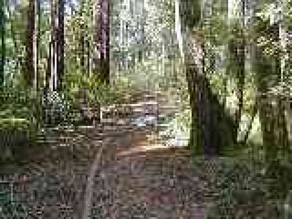 End of the trail