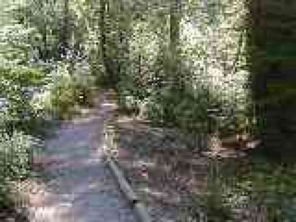 Curving downhill