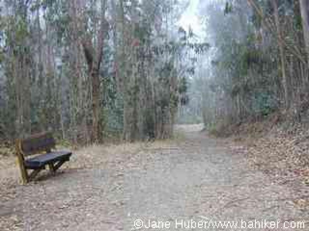 A bench along the trail to the viewpoint