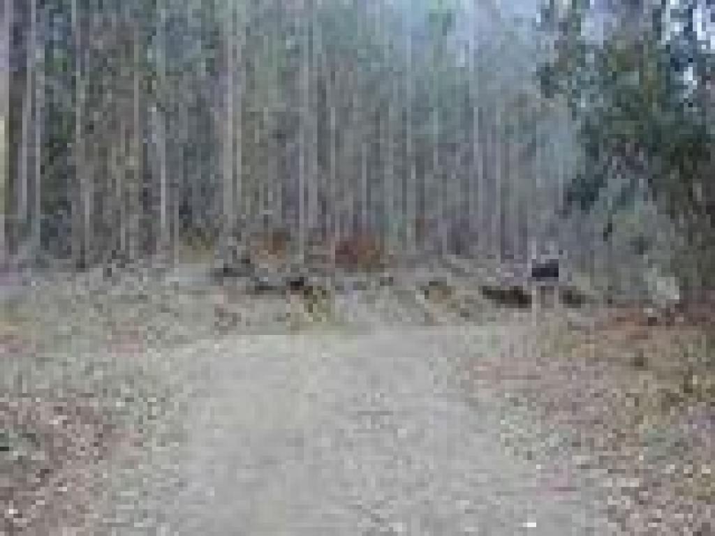 Junction