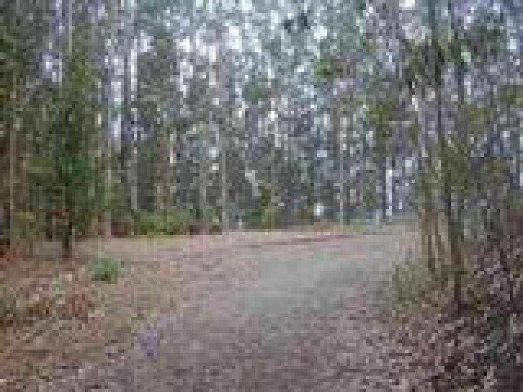 Little picnic area