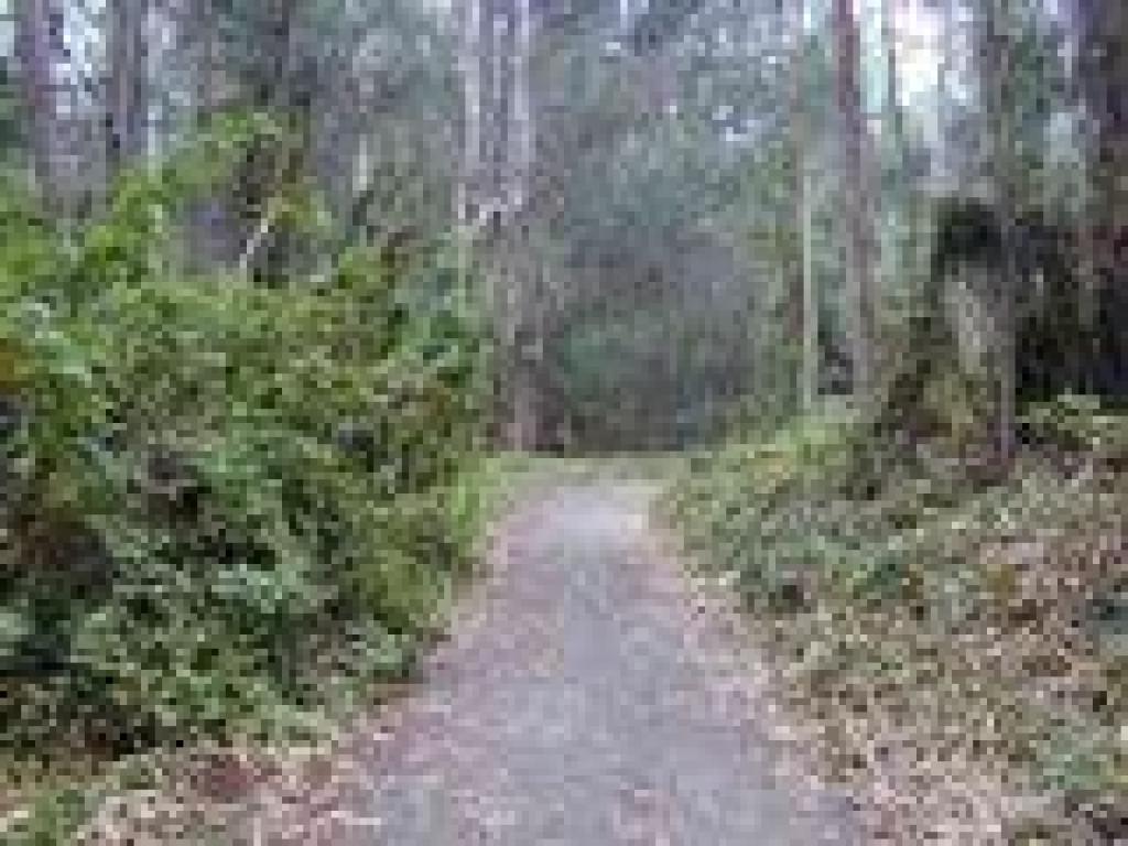 Trail to quarry floor