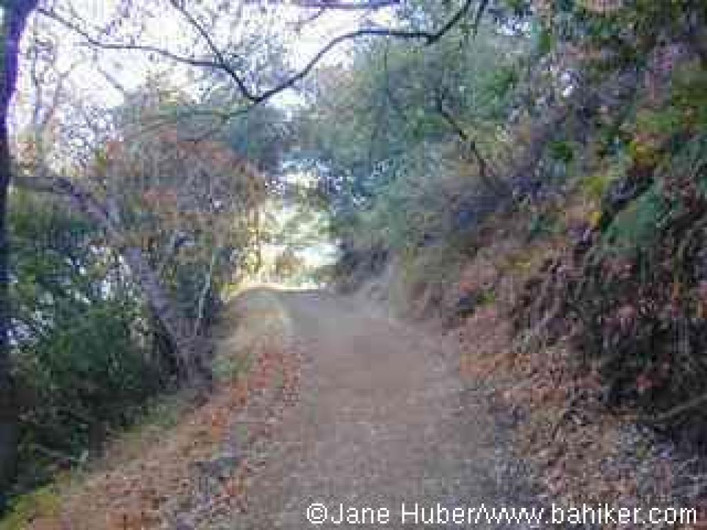 Rhus Ridge Trail