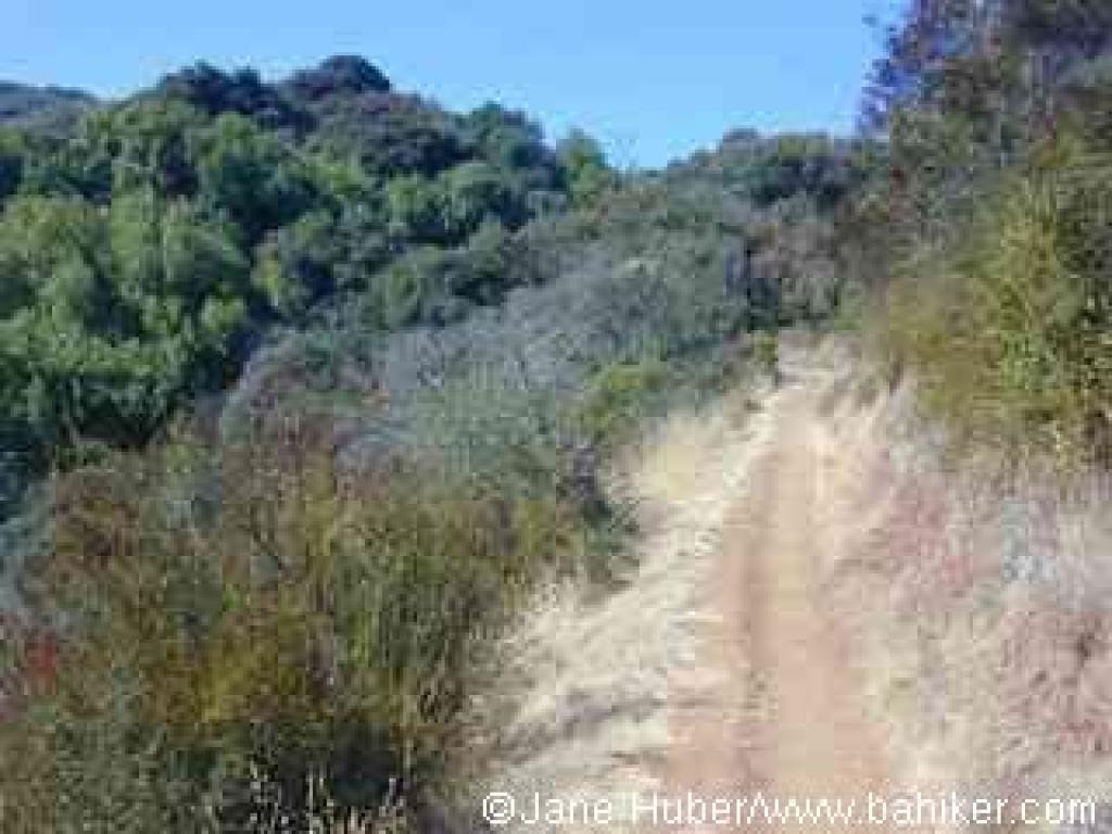 Black Mountain Trail