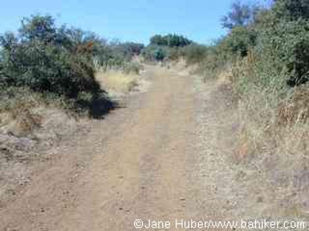 A steep section of Black Mountain Trail