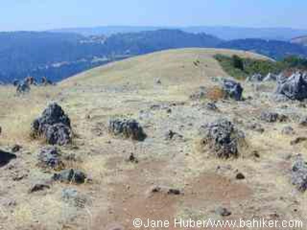 View west from the top of Black Mountain