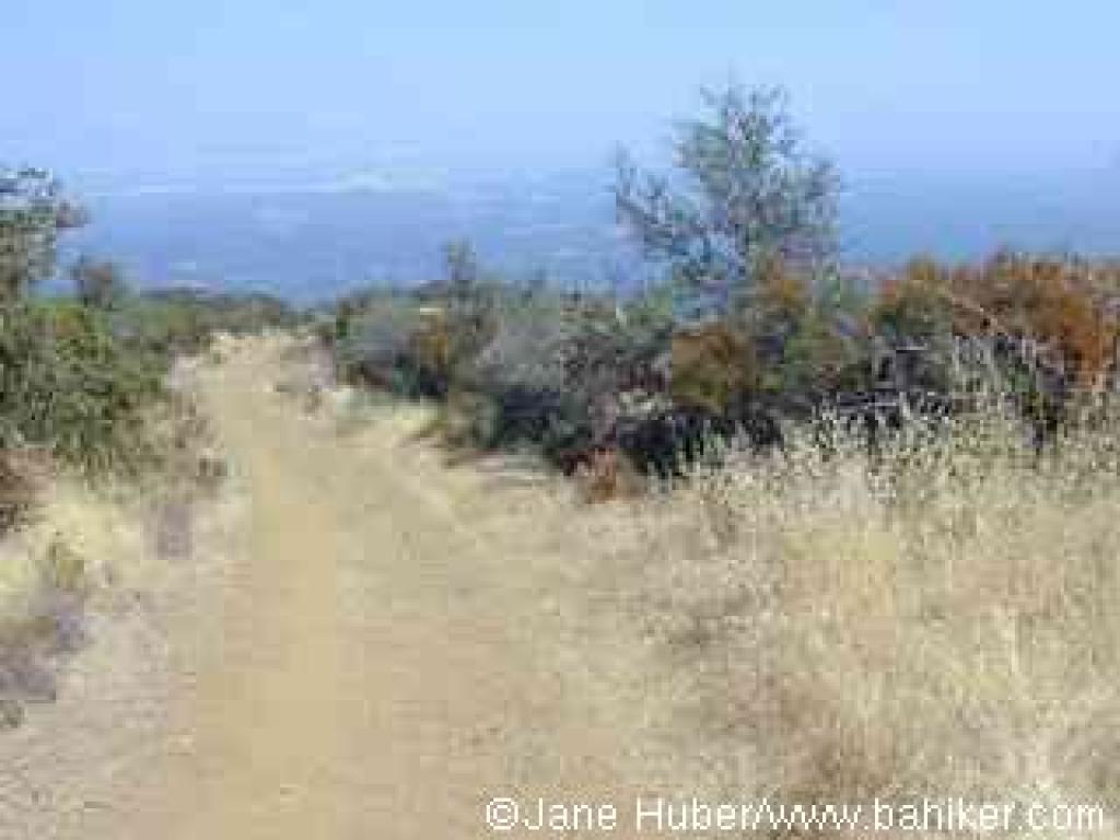 View east returning downhill