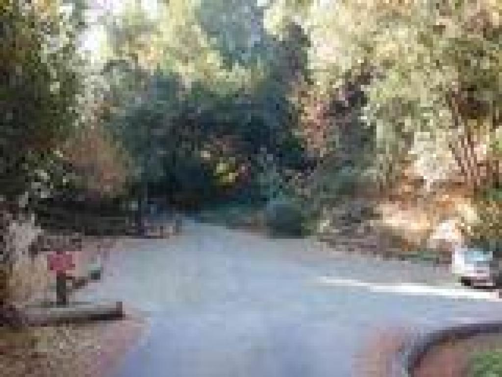 Trailhead