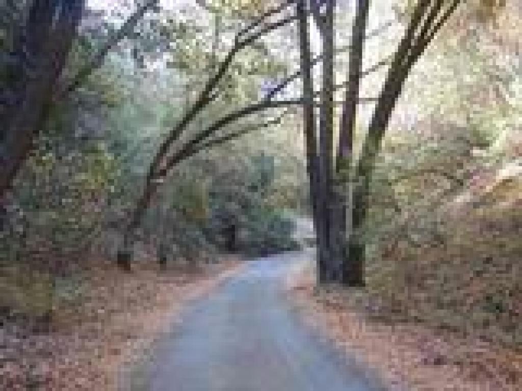 Rhus Ridge Trail