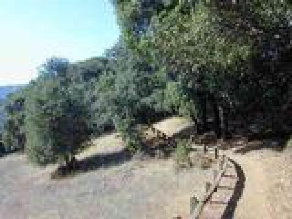 Black Mountain Trail