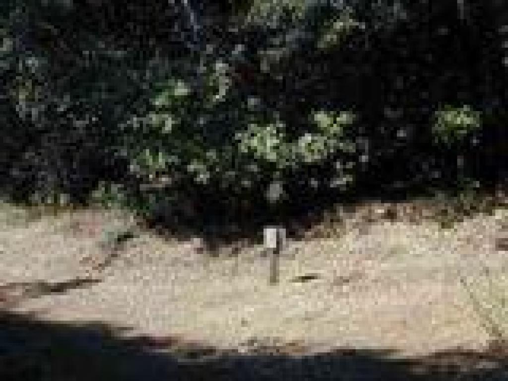 Junction