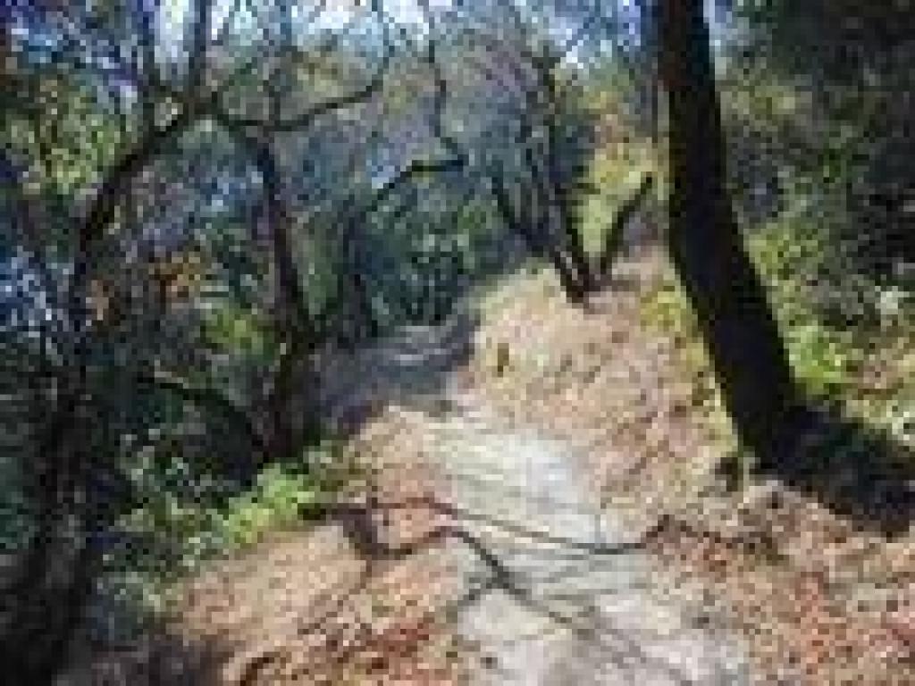 Ascending