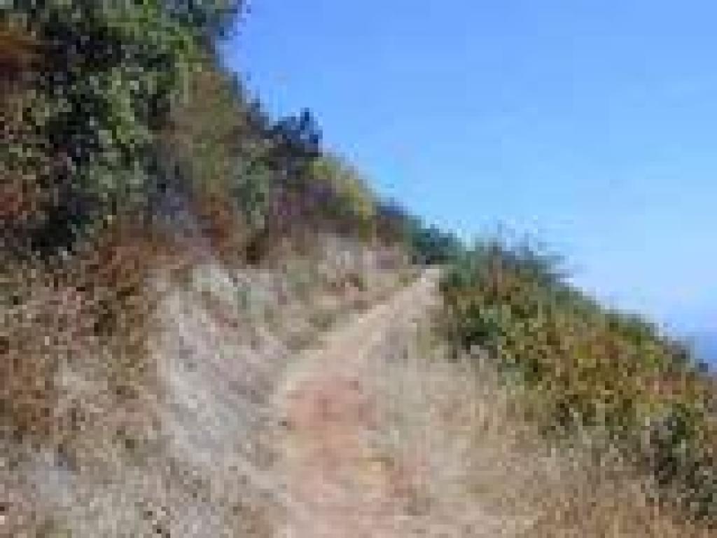 Black Mountain Trail