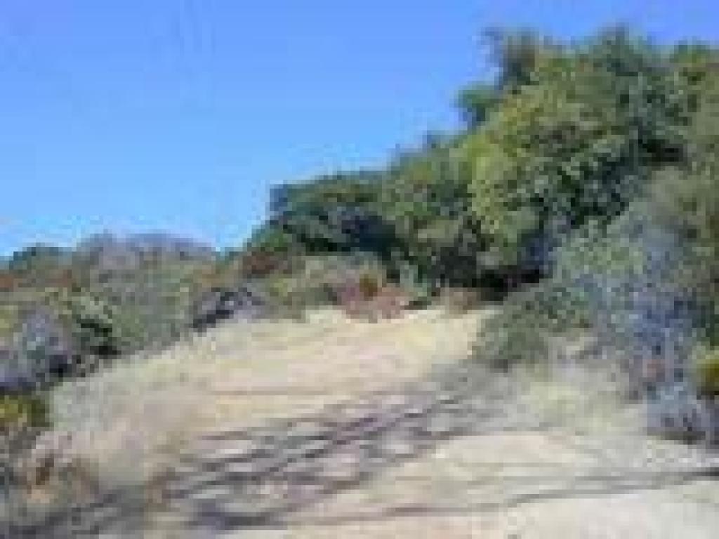 Beginning the steep ascent