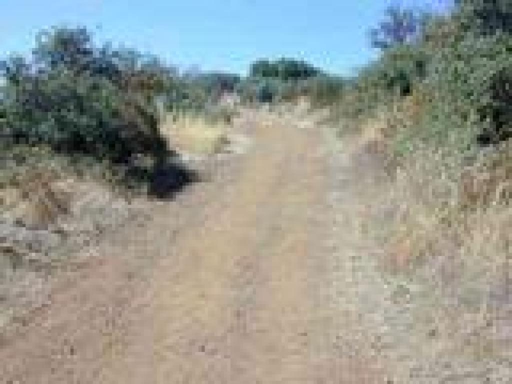 Black Mountain Trail
